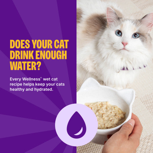 Wellness Appetizing Entrees Age Advantage Mousse Tuna, Salmon, Cod & Sardine Recipe Infused with Broth Wet Cat Food