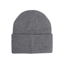 Hatphile Dog Dad Gray Knit Beanie