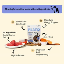 Plato Skin & Coat Jerky Supplement for Dogs 8 oz