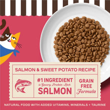 Merrick Purrfect Bistro Dry Cat Food Grain Free-Salmon and Sweet Potato Dry Cat Food
