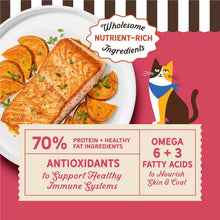 Merrick Purrfect Bistro Dry Cat Food Grain Free-Salmon and Sweet Potato Dry Cat Food