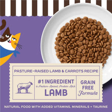 Merrick Purrfect Bistro Grain Free Pasture-Raised Lamb and Carrots Natural High Protein Dry Cat Food