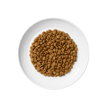 Merrick Purrfect Bistro Dry Cat Food Grain Free-Salmon and Sweet Potato Dry Cat Food