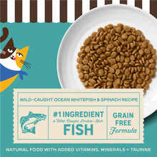 Merrick Purrfect Bistro Grain Free Wild-Caught Ocean Whitefish and Spinach Natural High Protein Dry Cat Food