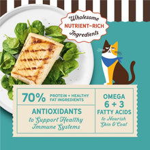 Merrick Purrfect Bistro Grain Free Wild-Caught Ocean Whitefish and Spinach Natural High Protein Dry Cat Food