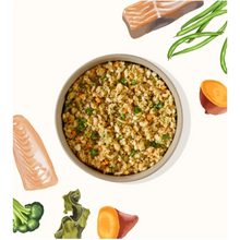 my perfect pet white fish recipe reduced fat frozen dog food