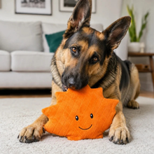 Kole Imports Pupbox May the Maple Leaf Squeaker Dog Toy