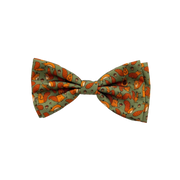 Huxley & Kent Silly Squirrels Fall Pet Bow Tie S