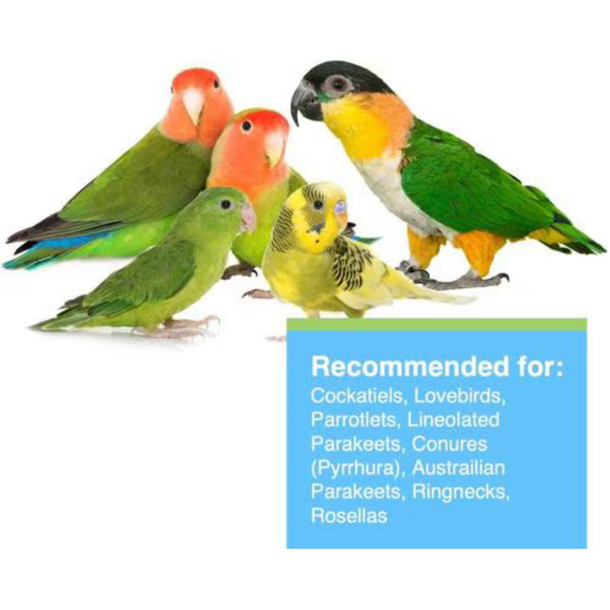 Hari Tropimix Peanut Flavored Lovebird & Cockatiel Bird Food 2 lb
