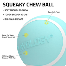 Playology Peanut Butter Scented Squeaky Medium Chew Ball Dog Toy 2 ct