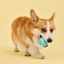 Playology Peanut Butter Scented Squeaky Medium Chew Ball Dog Toy 2 ct