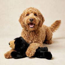 Playology Blueberry Scented Bear Squeaky Plush Dog Toy Jumbo