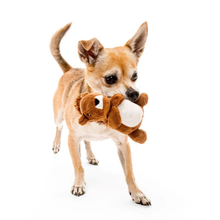 Playology Peanut Butter Scented Plush Squirrel Dog Toy Small Dog