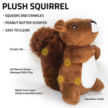 Playology Peanut Butter Scented Plush Squirrel Dog Toy Small Dog