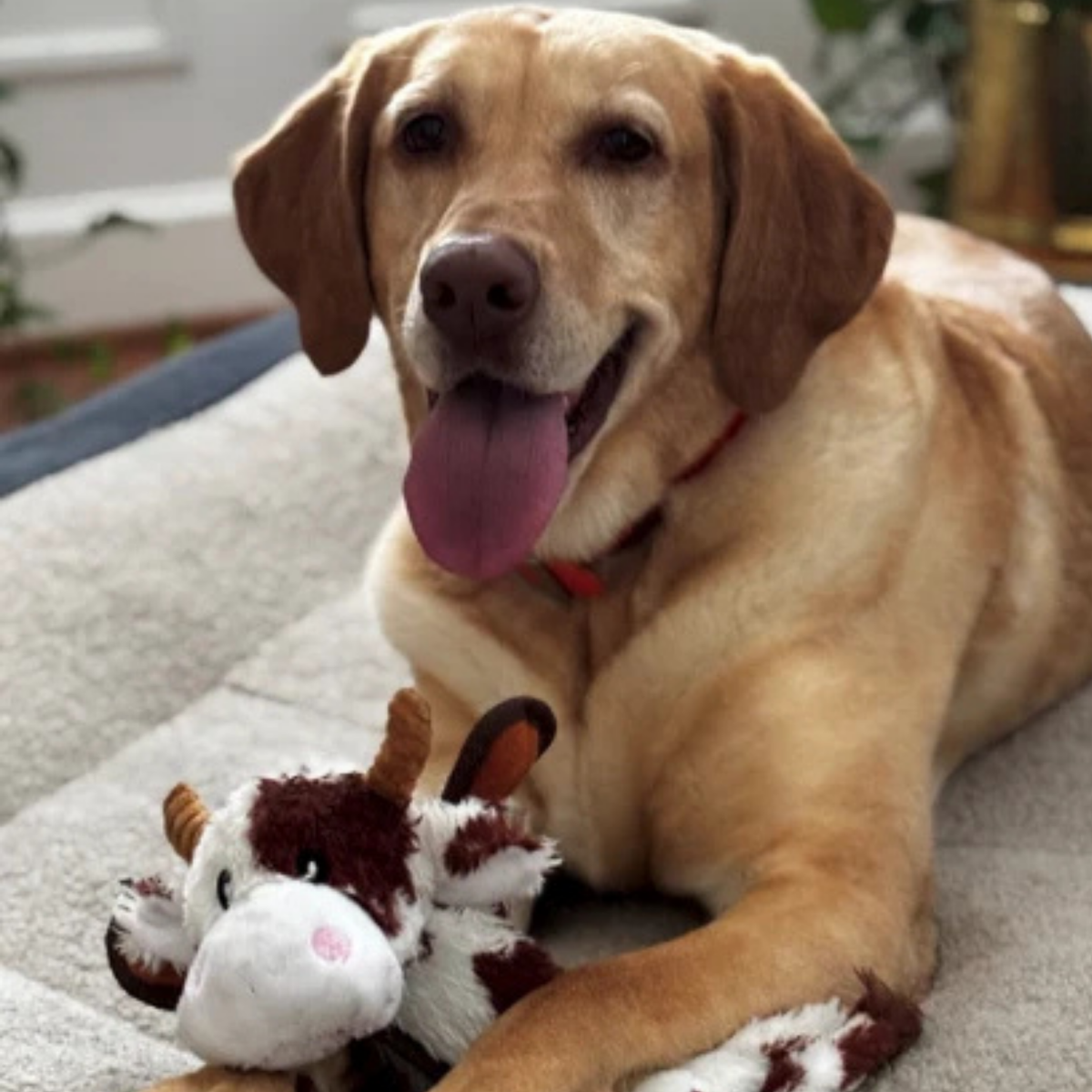 Lightning Dog Fuzzy Brown Cow Dog Toy