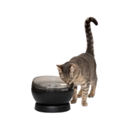 Petsafe Black HydroSphere Cordless Pet Fountain 60 oz