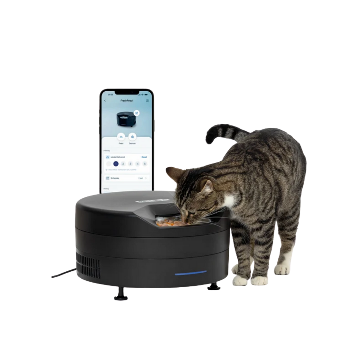 Petsafe Black FreshFeed Refrigerated Pet Feeder