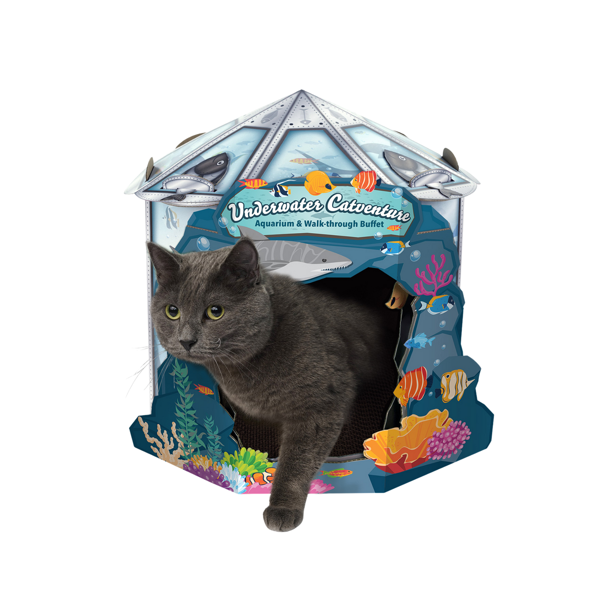 Royal Pet Shark Tank Cat Scratcher