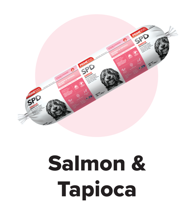 Salmon & Tapioca