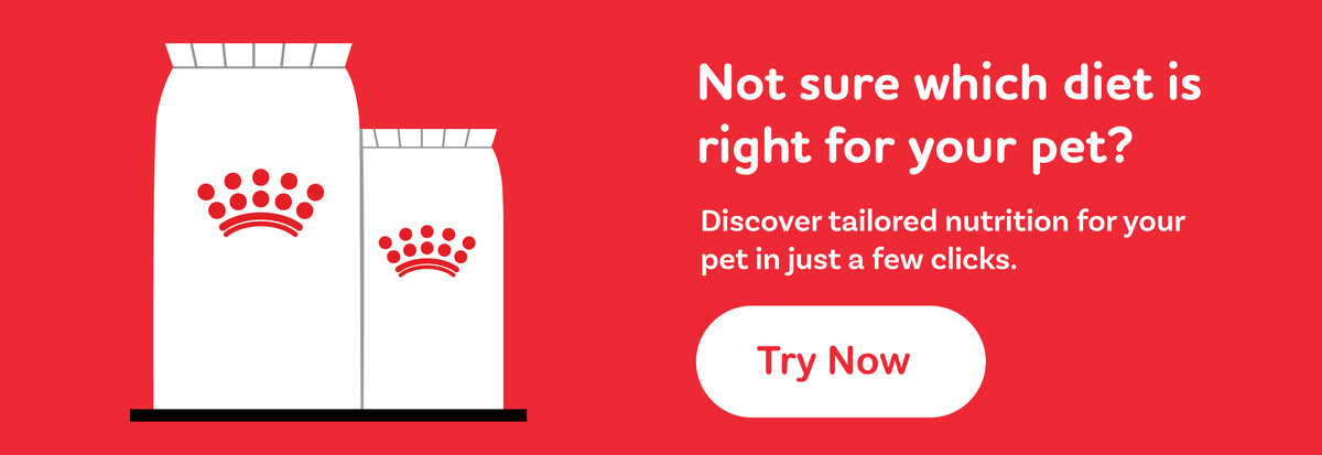 Product finder