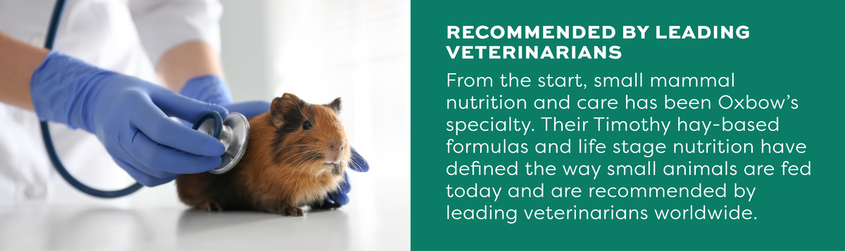 Vet recommended