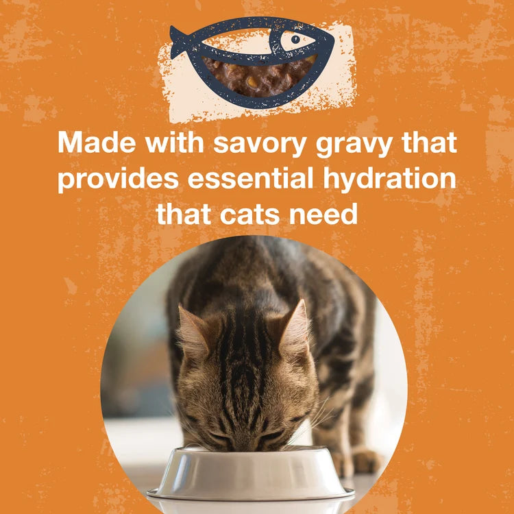 Koha Poke Bowl Tuna & Pumpkin Entrée in Gravy for Adult Cats