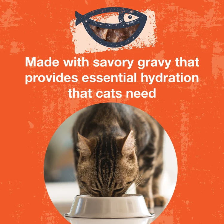 Koha Poke Bowl Tuna & Chicken Entrée in Gravy for Adult Cats