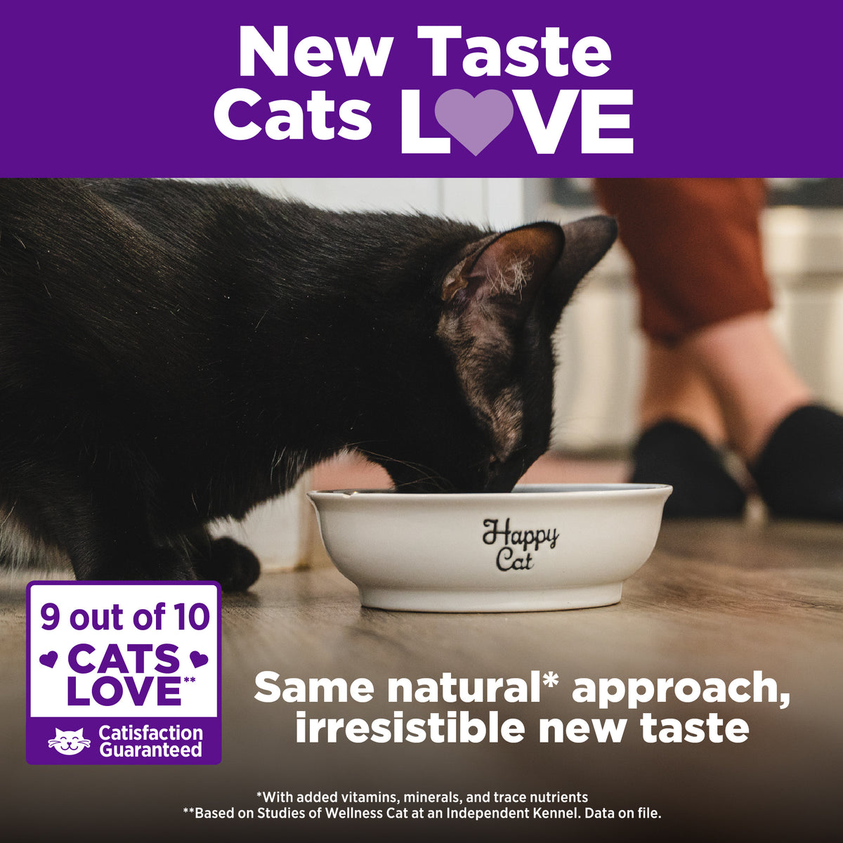Wellness Complete Health Indoor Healthy Weight Chicken Recipe Grain-Free Dry Cat Food