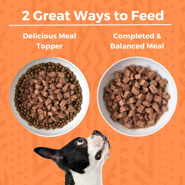 Koha Minimal Ingredient Grain-Free Chicken Stew Canned Dog Food