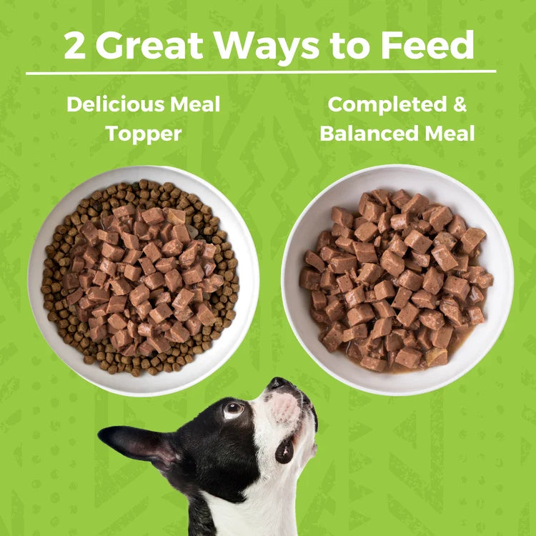 KOHA Minimal Ingredient Duck Stew Canned Dog Food