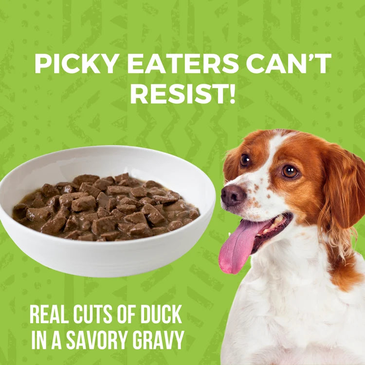 KOHA Minimal Ingredient Duck Stew Canned Dog Food