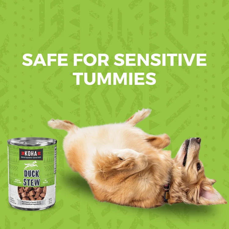 KOHA Minimal Ingredient Duck Stew Canned Dog Food
