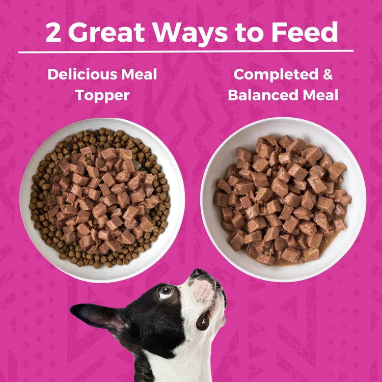 KOHA Minimal Ingredient Pork Stew Canned Dog Food