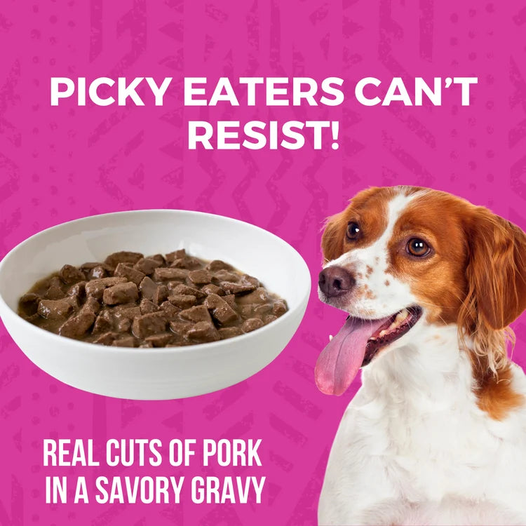 KOHA Minimal Ingredient Pork Stew Canned Dog Food