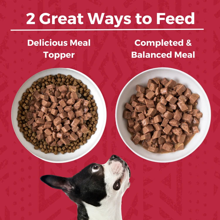 KOHA Minimal Ingredient Grain-Free Beef Stew Canned Dog Food