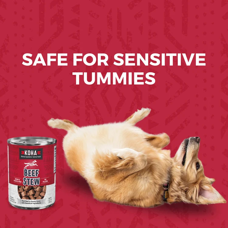 KOHA Minimal Ingredient Grain-Free Beef Stew Canned Dog Food