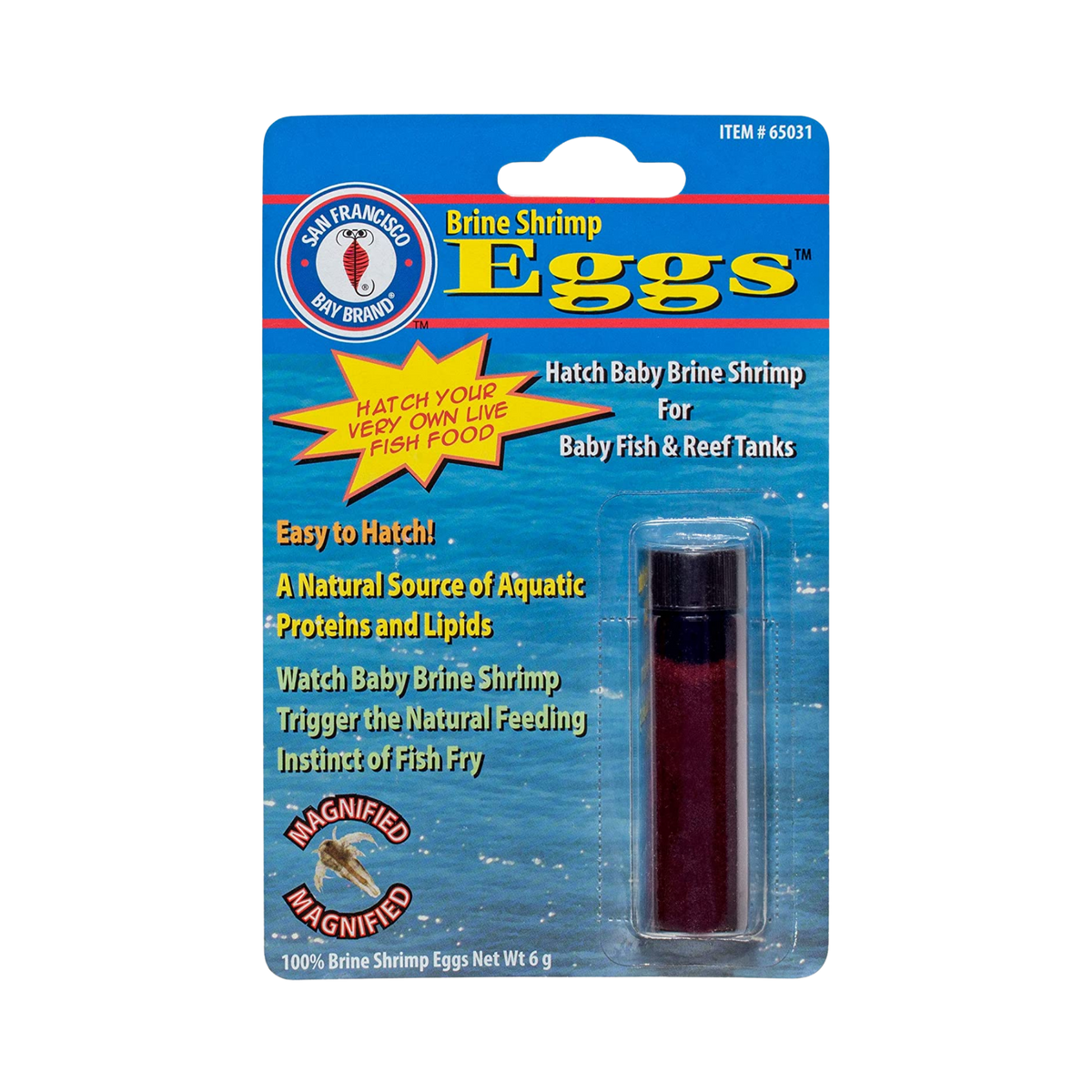 San Francisco Bay Brine Shrimp Eggs Vial 6 gm