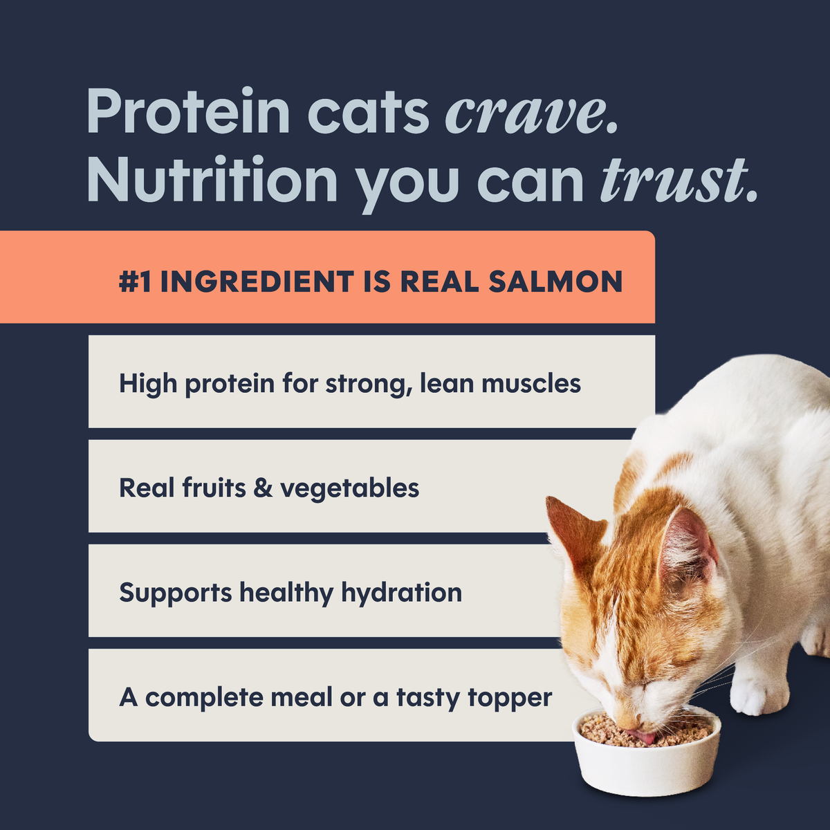 Instinct Pate Real Salmon Entree Grain-Free Wet Cat Food