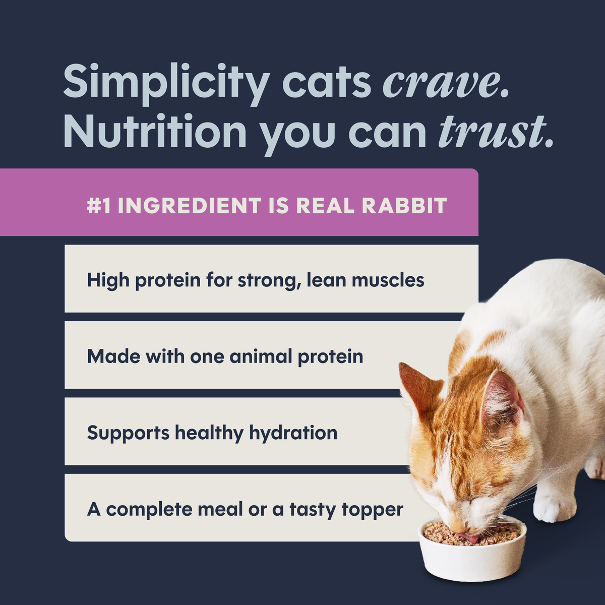 INSTINCT Limited Ingredient Diet Real Rabbit Recipe Canned Cat Food
