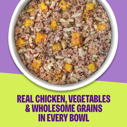Wellness Protein Bowls Adult Wholesome Grains Chicken, Quinoa & Pumpkin Fresh Alternative Dog Food