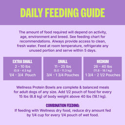 Wellness Protein Bowls Adult Wholesome Grains Chicken, Quinoa & Pumpkin Fresh Alternative Dog Food