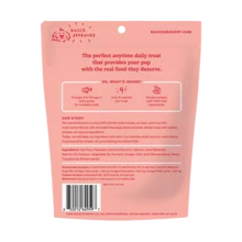 Bocce Dailies Good Hair Salmon Recipe Soft Dog Treats 6 oz