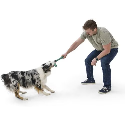 West Paw Snorkl Emerald Dog Chew Toy Large