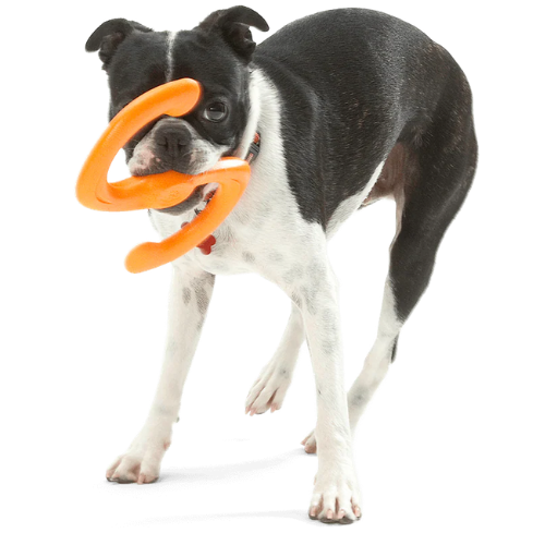 West Paw Zogoflex Orange Bumi Dog Toy Small