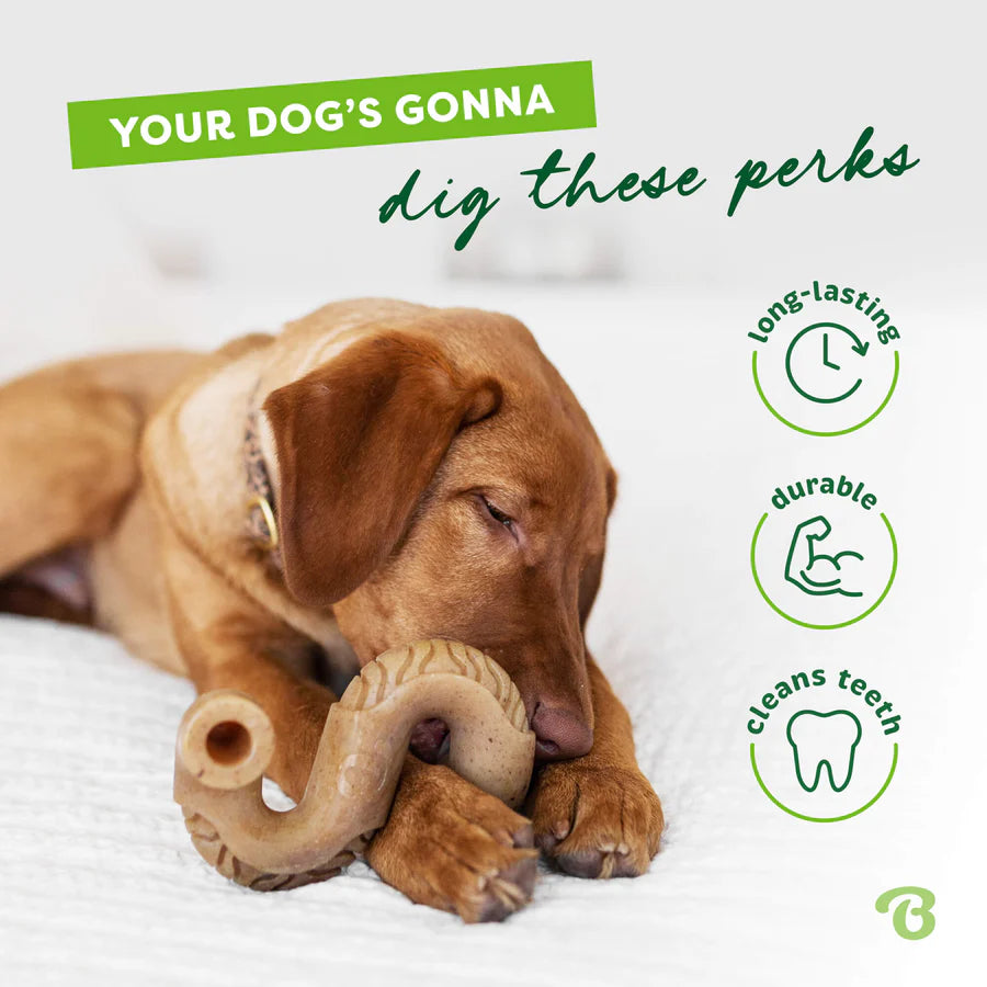 Benebone Beef Tripe Durable Dog Chew Toy
