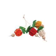 A&E Loofah Bunch of Fruits Small Animal Chew Toy