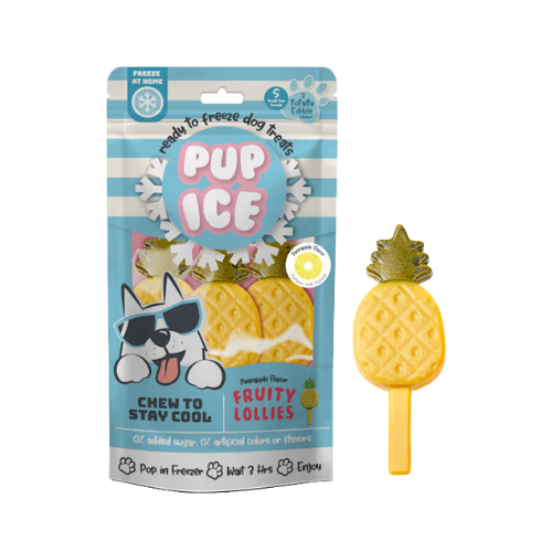 Nothin' To Hide Fruity Lollies Pineapple Dog Chew Treat 3 pk