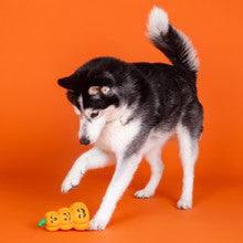 Pet Fringe Studio Halloween Go Big or Gourd Home Latex Dog Toy