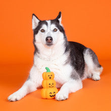 Pet Fringe Studio Halloween Go Big or Gourd Home Latex Dog Toy