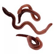Apet Live Red Wigglers Worms Reptile Food 30 ct